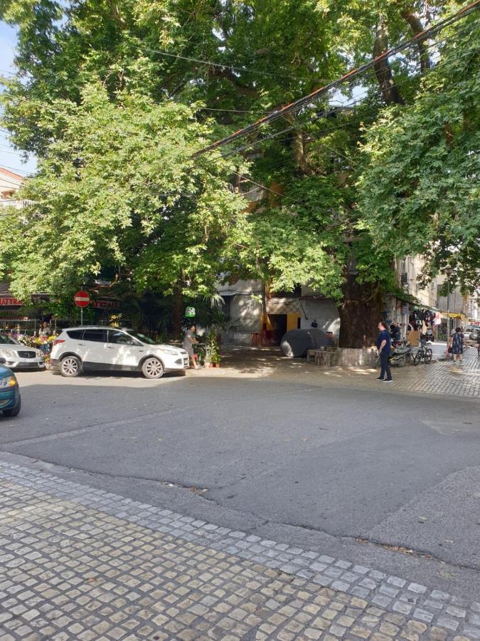 Вилла Shkodra 27 Center House Экстерьер фото